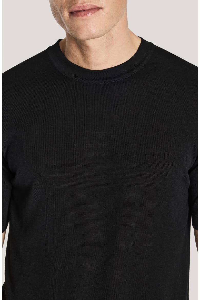 Wellington Cotton & Silk Crewneck T-Shirt, Alternate, color, BLACK