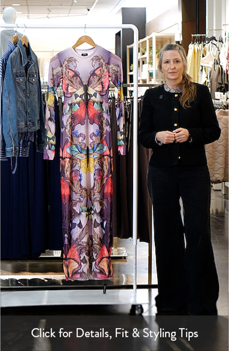 Didi Long Sleeve Mesh Maxi Dress, sales video thumbnail