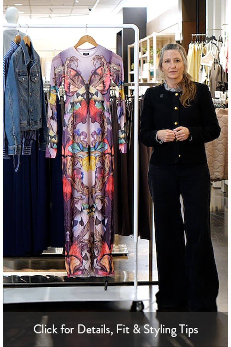 Didi Long Sleeve Mesh Maxi Dress video