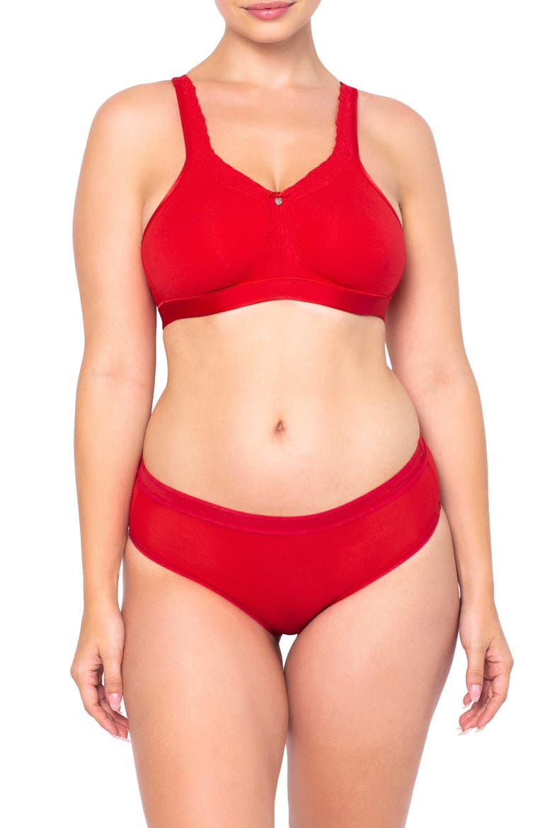 Sheer Mesh High Cut Briefs, Alternate, color, DRAMATIC ROSES