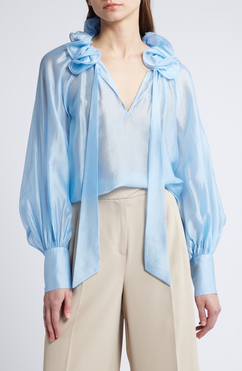 & Other Stories Ruffle Detail Tie Neck Top, Main, color,