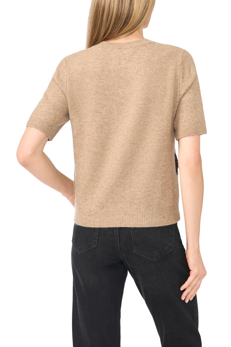 Lace Stripe Short Sleeve Sweater, Alternate, color, TAUPE