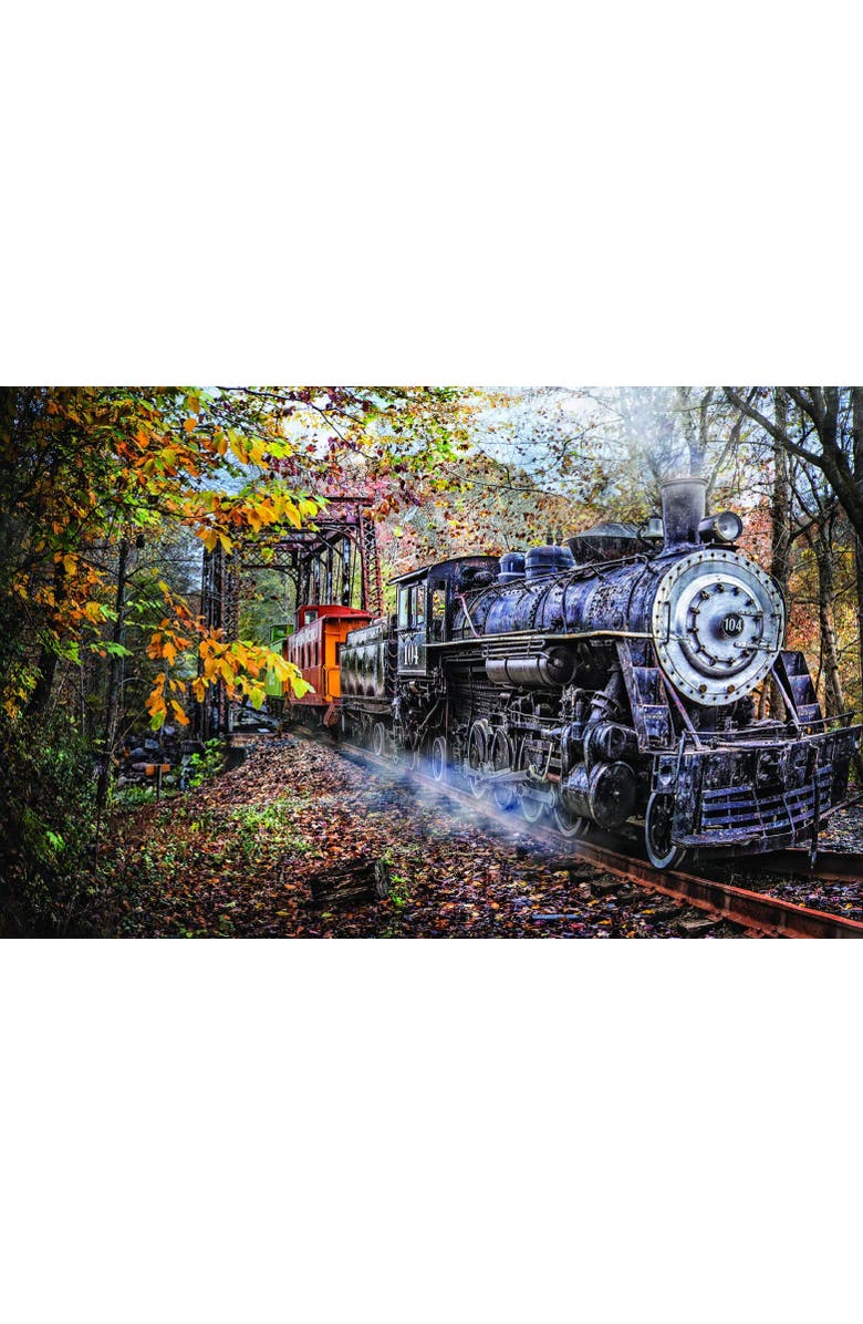 Sunsout Train's Coming 1000 piece Jigsaw Puzzle for Adults, Alternate, color, Multicolor