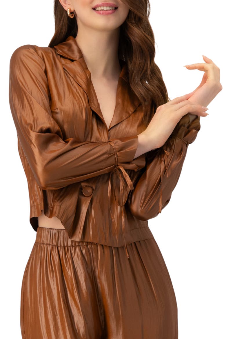Two Button Shirt with Sleeve Ties, Main, color, Brown