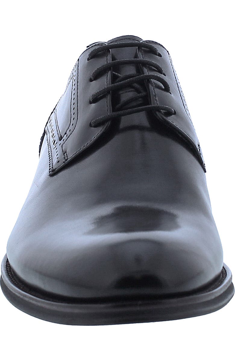 Penny Lane Regent Derby, Alternate, color,