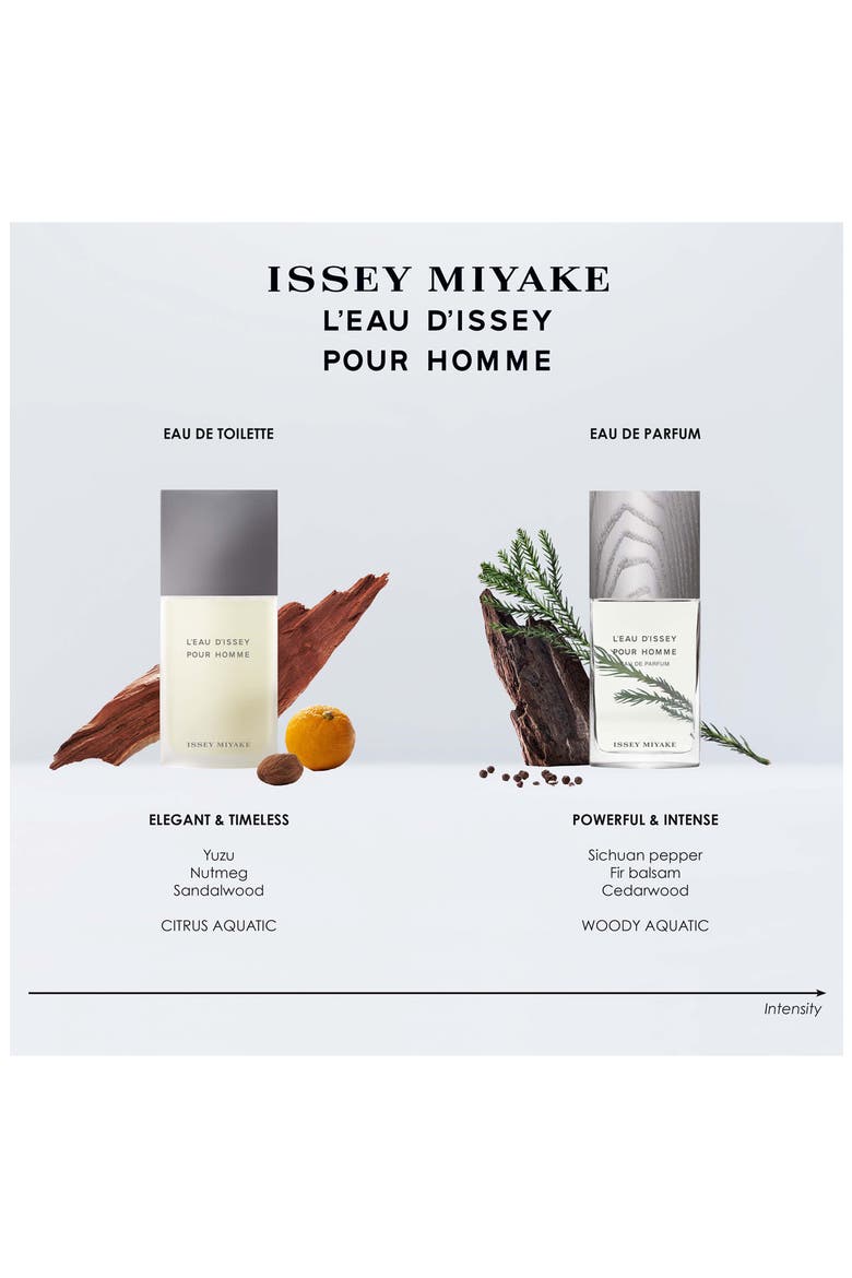 L'Eau d'Issey pour Homme Deodorant Stick, Alternate, color, NO COLOR