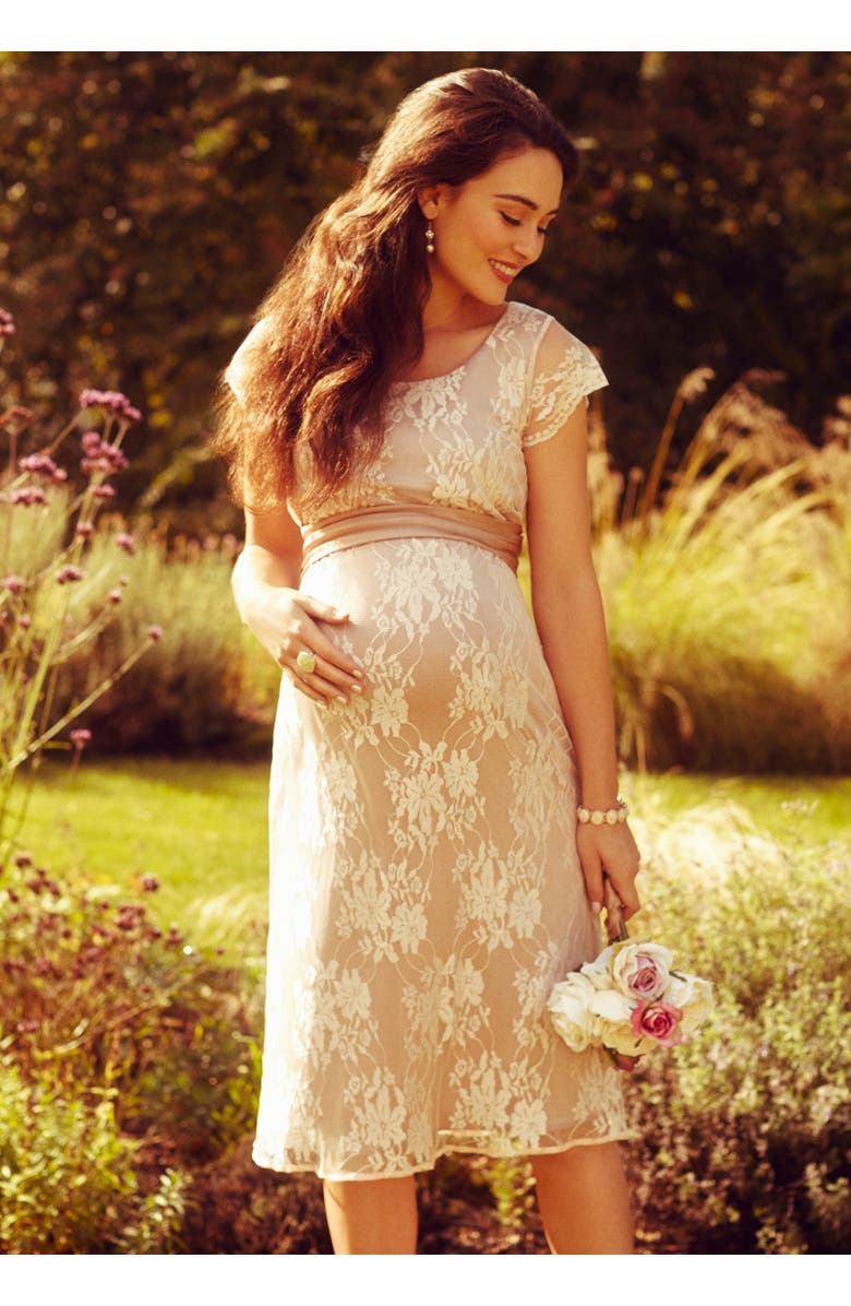 Tiffany Rose Maternity April Nursing Dress, Alternate, color,