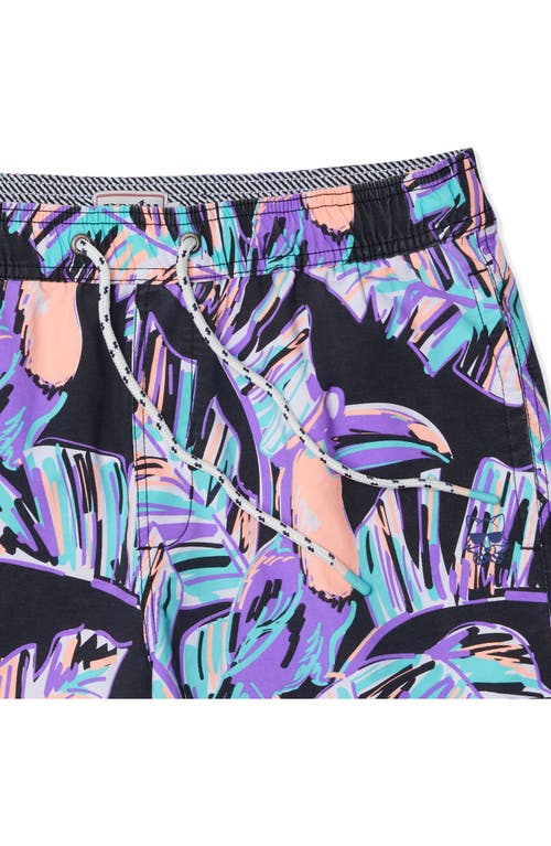 Party Pants Captain Toucan Swim Trunks In Black