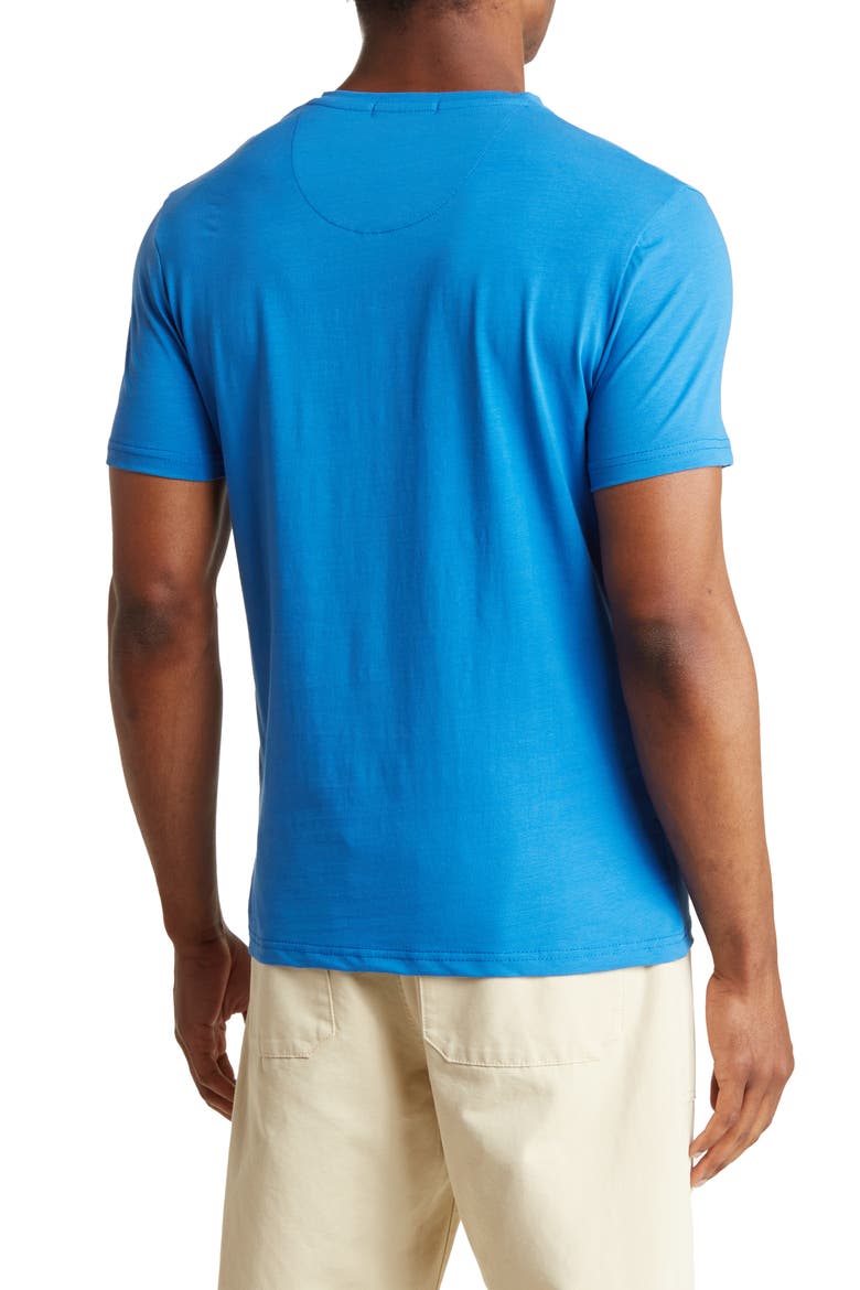 Solid V-Neck T-Shirt, Alternate, color, ROYAL