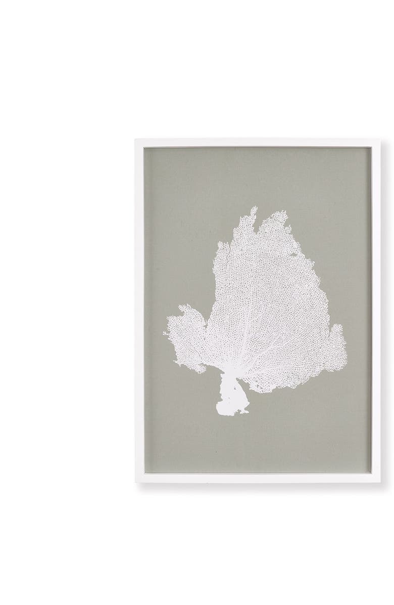 Napa Home & Garden Coral Fans Study Set of 4, Alternate, color, Grey