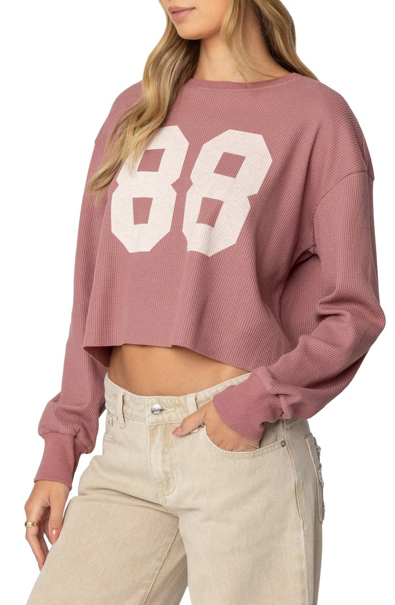 EDIKTED 88 Long Sleeve Waffle Knit Crop Top, Alternate, color, Mauve