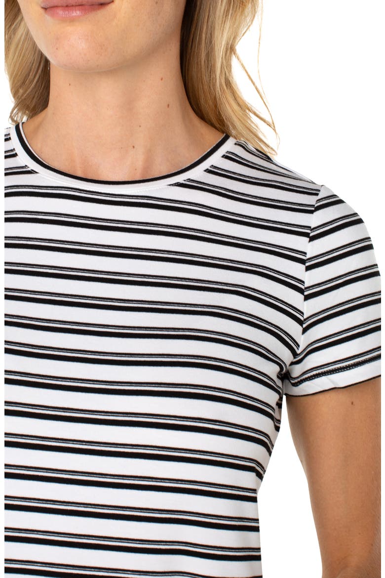 Stripe French Terry T-Shirt, Alternate, color, WHITE BLACK VINTAGE STRIPE