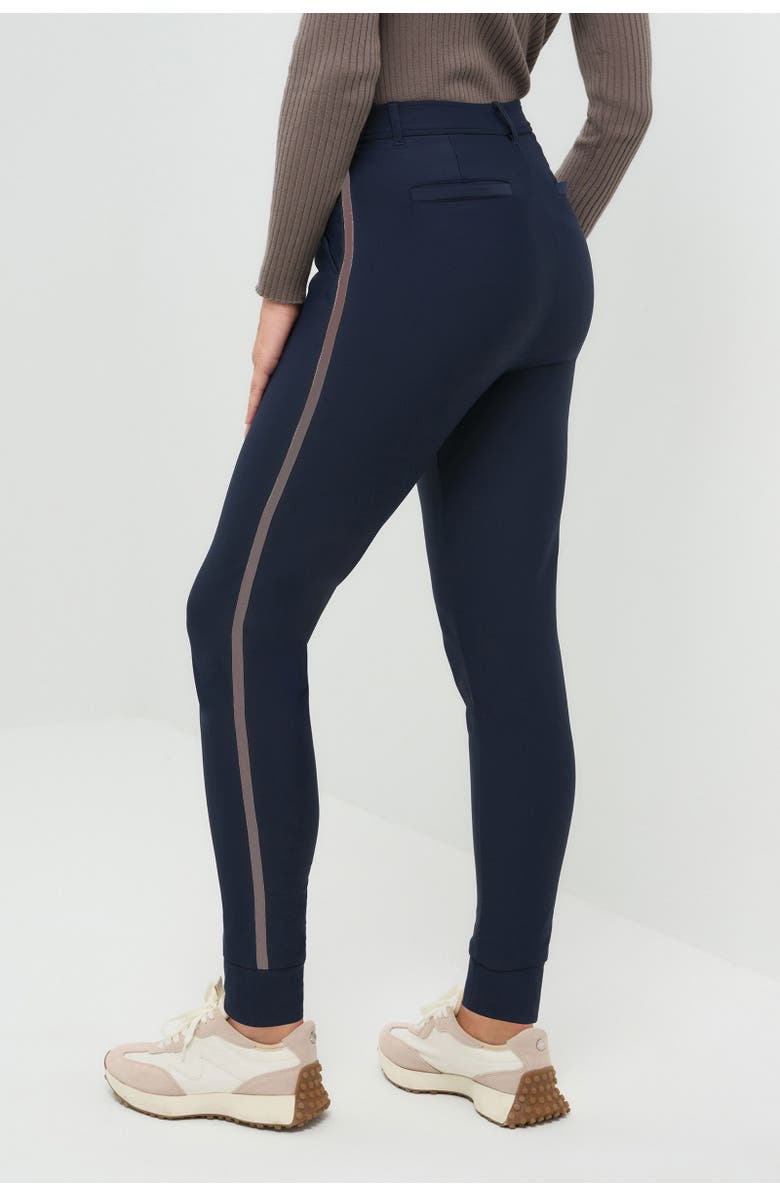 Anatomie Cozy Juniper Fleece Lined Jogger Pant, Alternate, color, Navy/Taupe