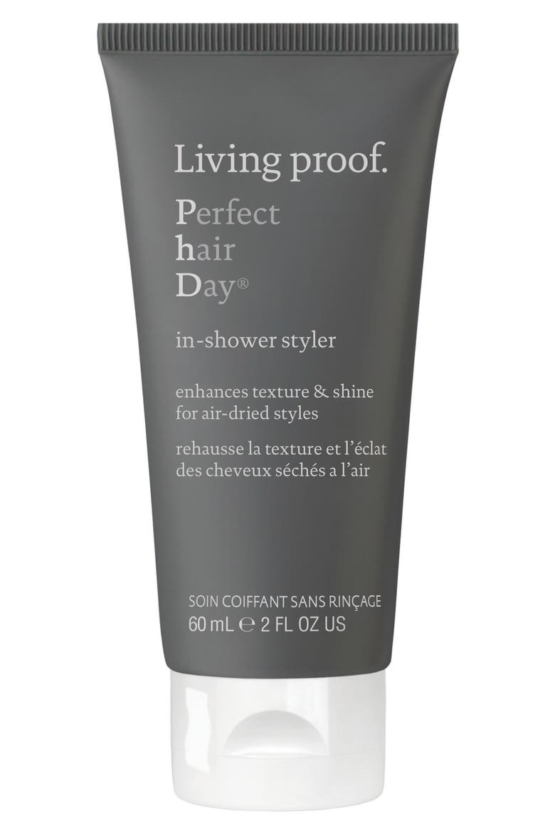Perfect hair Day™ In-Shower Styler, Main, color, NO COLOR