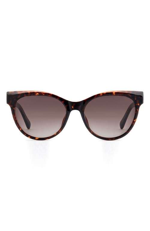 Fossil 53mm Gradient Cat Eye Sunglasses in Havana  product