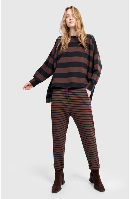 Alembika Dash Harem Pants In Multi