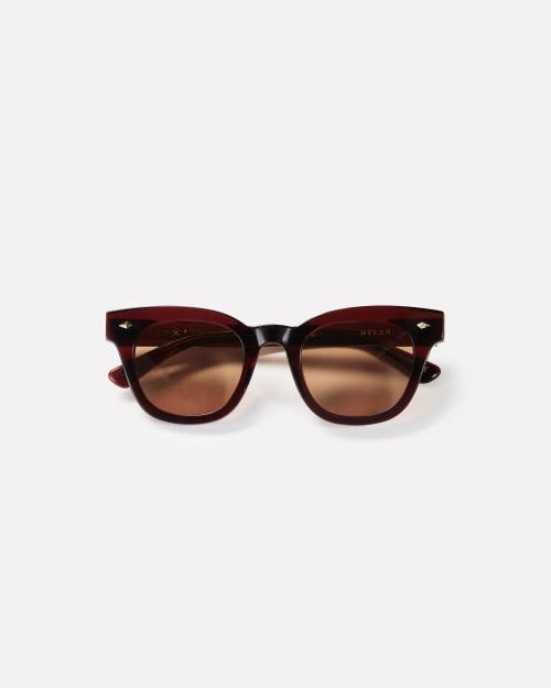 Epokhe Dylan Sunglasses In Brown