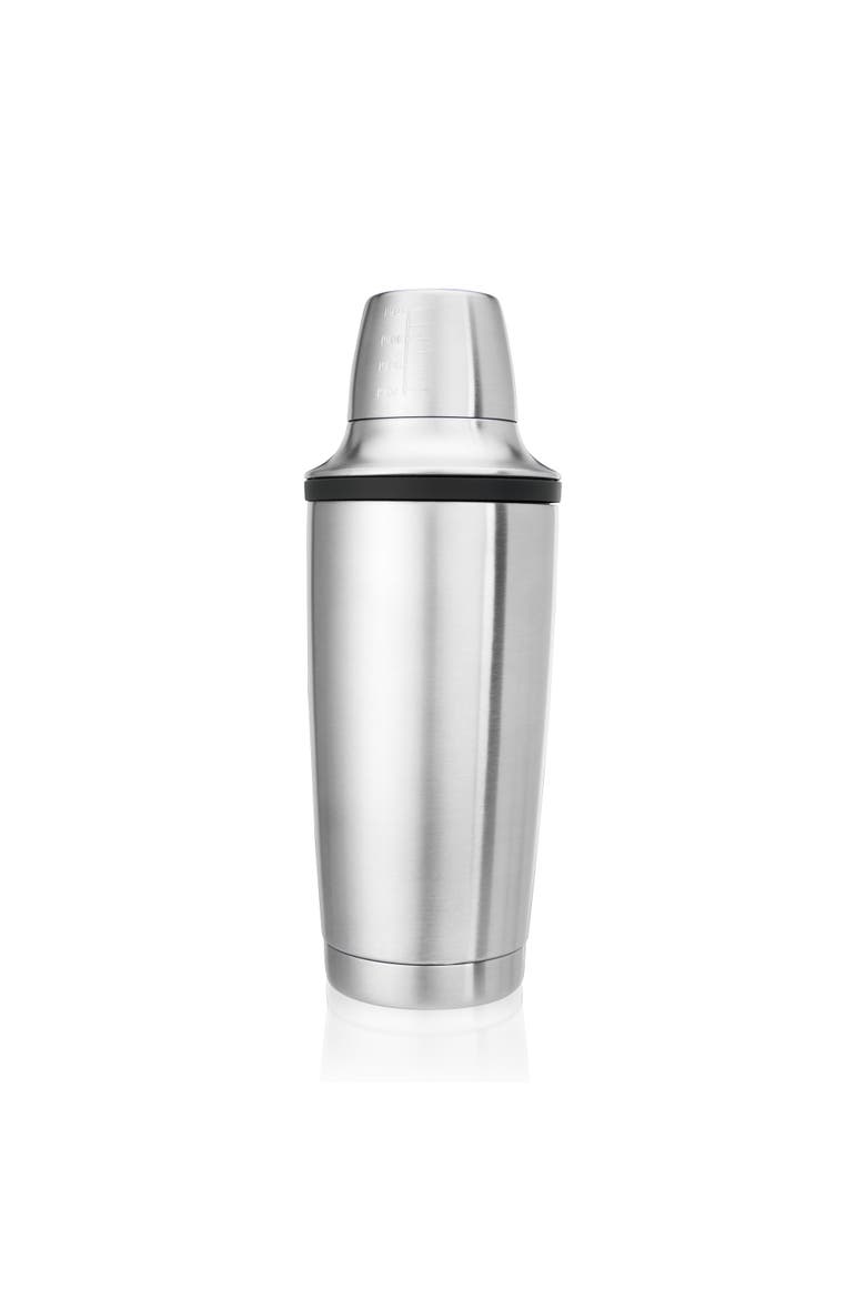 Double Walled Cocktail Shaker, Main, color, Silver