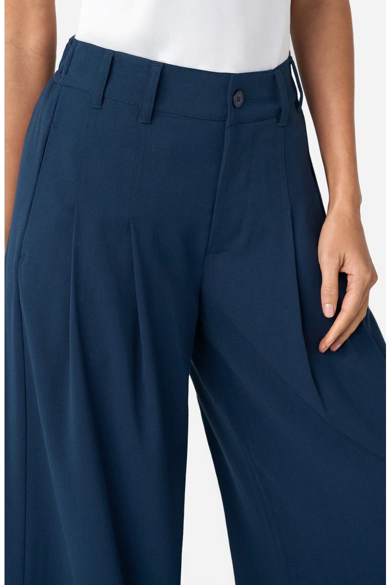 Pleated Wide Leg Ankle Pants, Alternate, color, OXFORD NAVY
