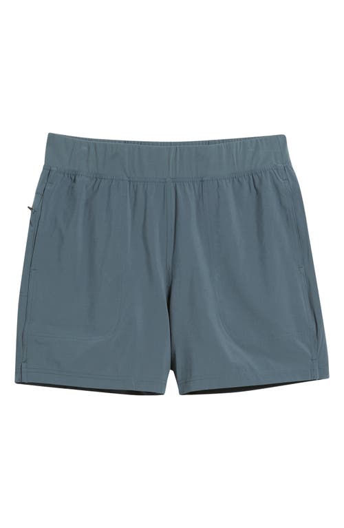 Free Fly Breeze Brief Lined Active Shorts In Gray
