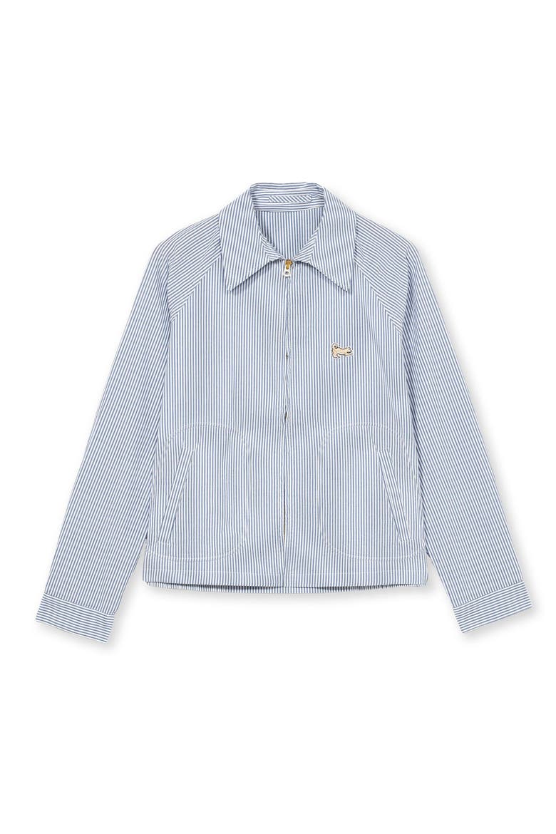 Cotton Zip Jacket, Main, color, Blue