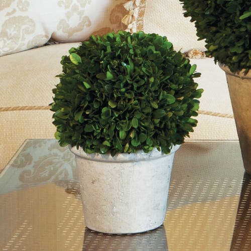 Napa Home & Garden 8in Ball In Pot In Green