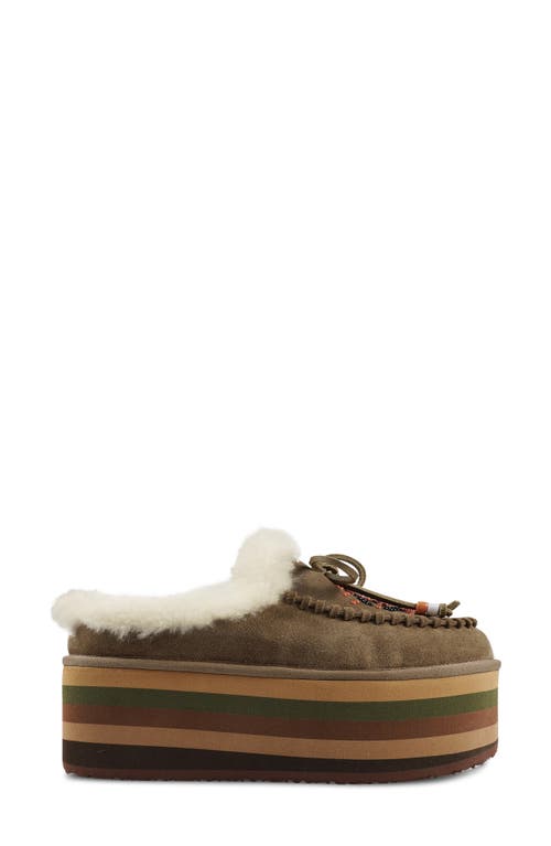 Zigi Birdy Faux Shearling Platform Slipper In Taupe Suede