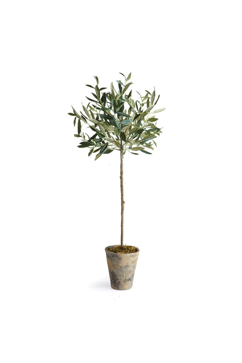 Olive Tree Potted 30", Main, color, Green