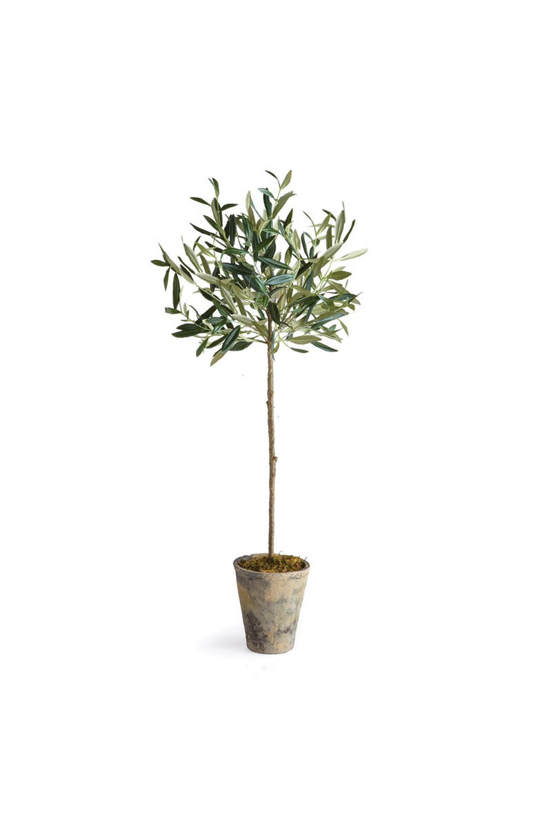 Napa Home & Garden Olive Tree Potted 30", Main, color, Green