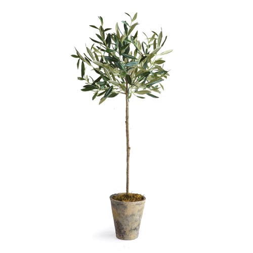Napa Home & Garden 30in Olive Tree Potted In Multi
