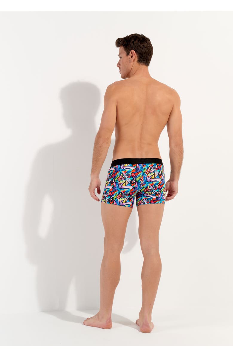 HOM Idylle Boxer Briefs, Alternate, color, Multico Print