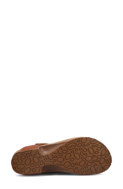 Taos Loop Toe Loop Sandal In Brown