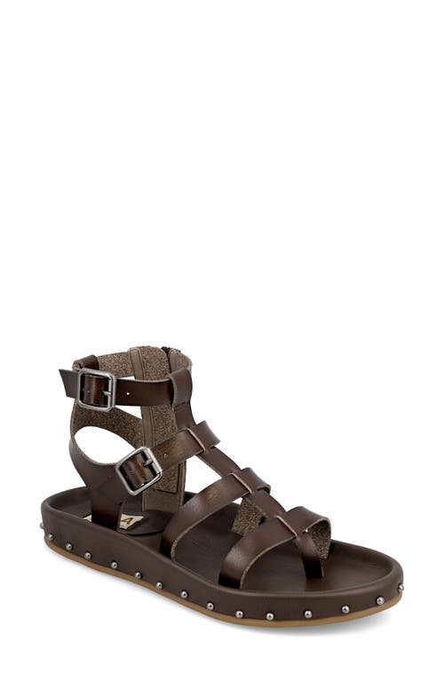 Mia Zahara Gladiator Sandal In Dark Brown
