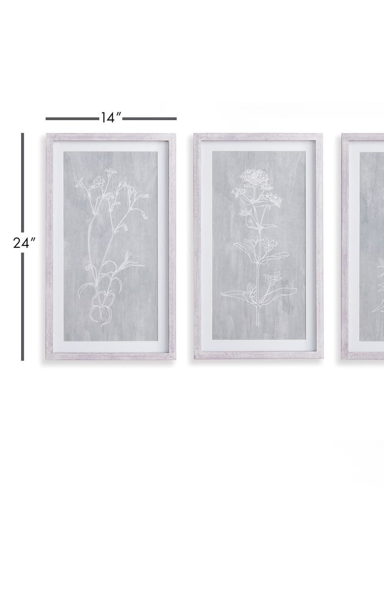 Napa Home & Garden Sketched Botanical Prints Set of 3, Alternate, color, 