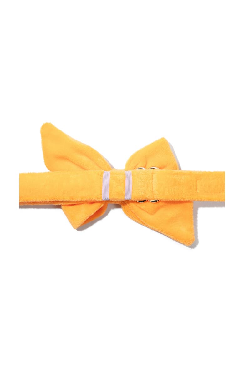 Ezra Babe Bow, Alternate, color, Ezra
