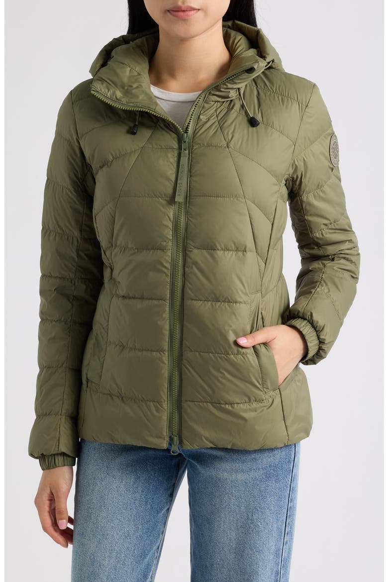 Abbott Hooded 625 Fill Power Down Jacket, Main, color, VIREO GREEN-VERT VIREO