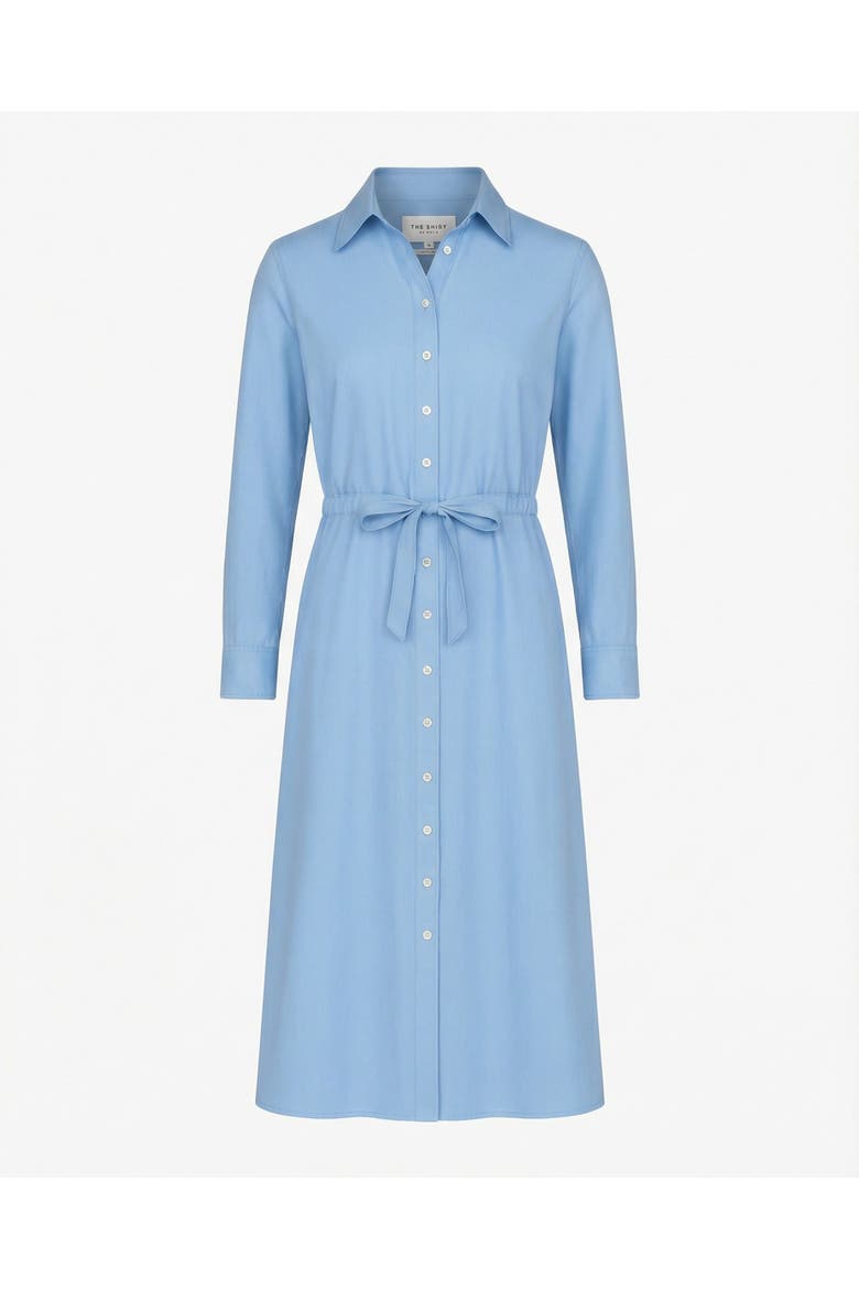 The Long Sleeve Midi Dress, Main, color, Light Blue