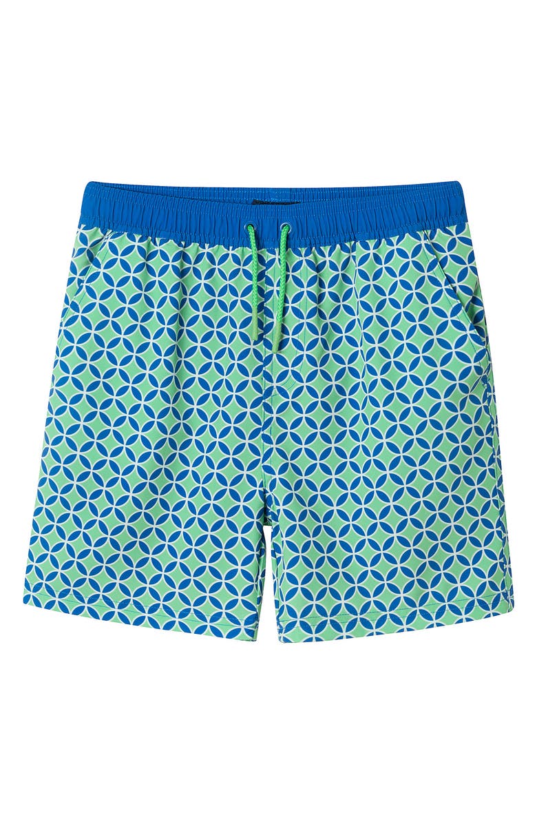 Andy & Evan Kids' Print Swim Trunks, Main, color, 