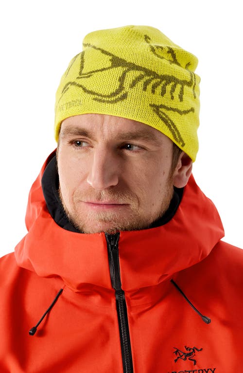 Arc'teryx Bird Head Merino Wool Blend Beanie In Yellow