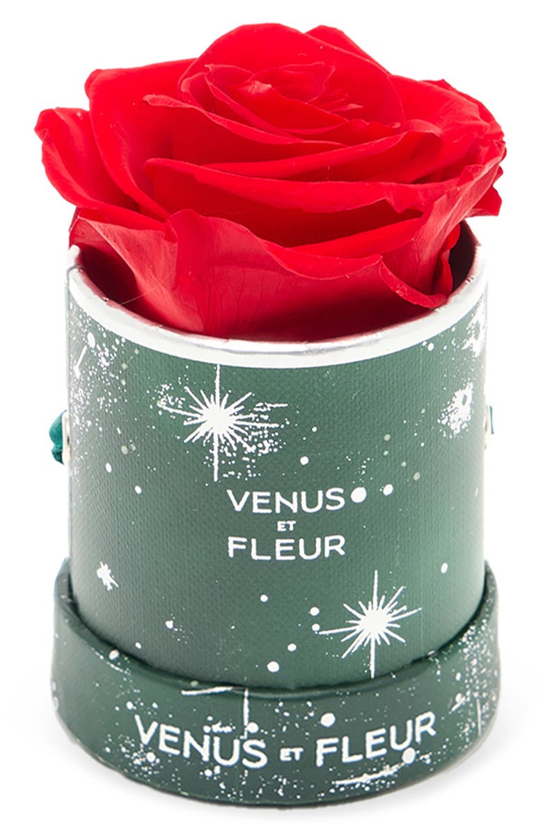 Venus ET Fleur Mini Round Holiday Zodiac Red Eternity Rose<sup>®</sup>, Main, color, Red