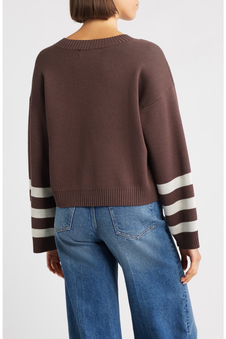Crop Stripe Sleeve Sweater, Alternate, color, EARTH