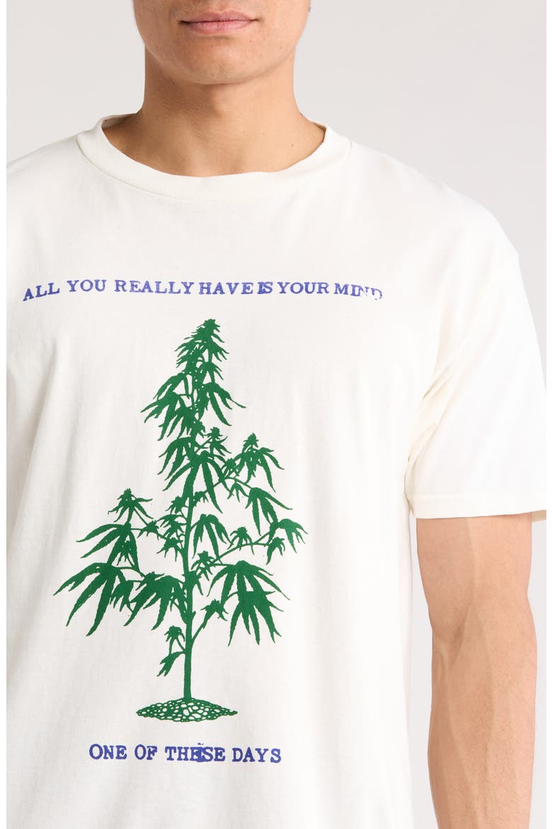 All You Really Have is Your Mind Graphic T-Shirt, Alternate, color, BONE