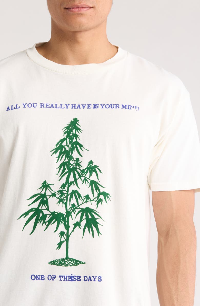 ONE OF THESE DAYS All You Really Have is Your Mind Graphic T-Shirt, Alternate, color, Bone