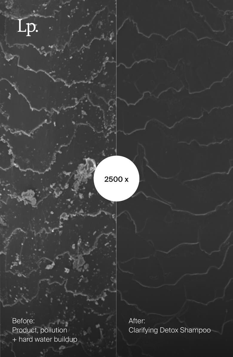 Living proof<sup>®</sup> Clarifying Detox Shampoo, Alternate, color,