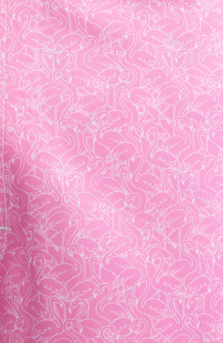 johnnie-O Tickled Pink Swim Trunks, Alternate, color, 