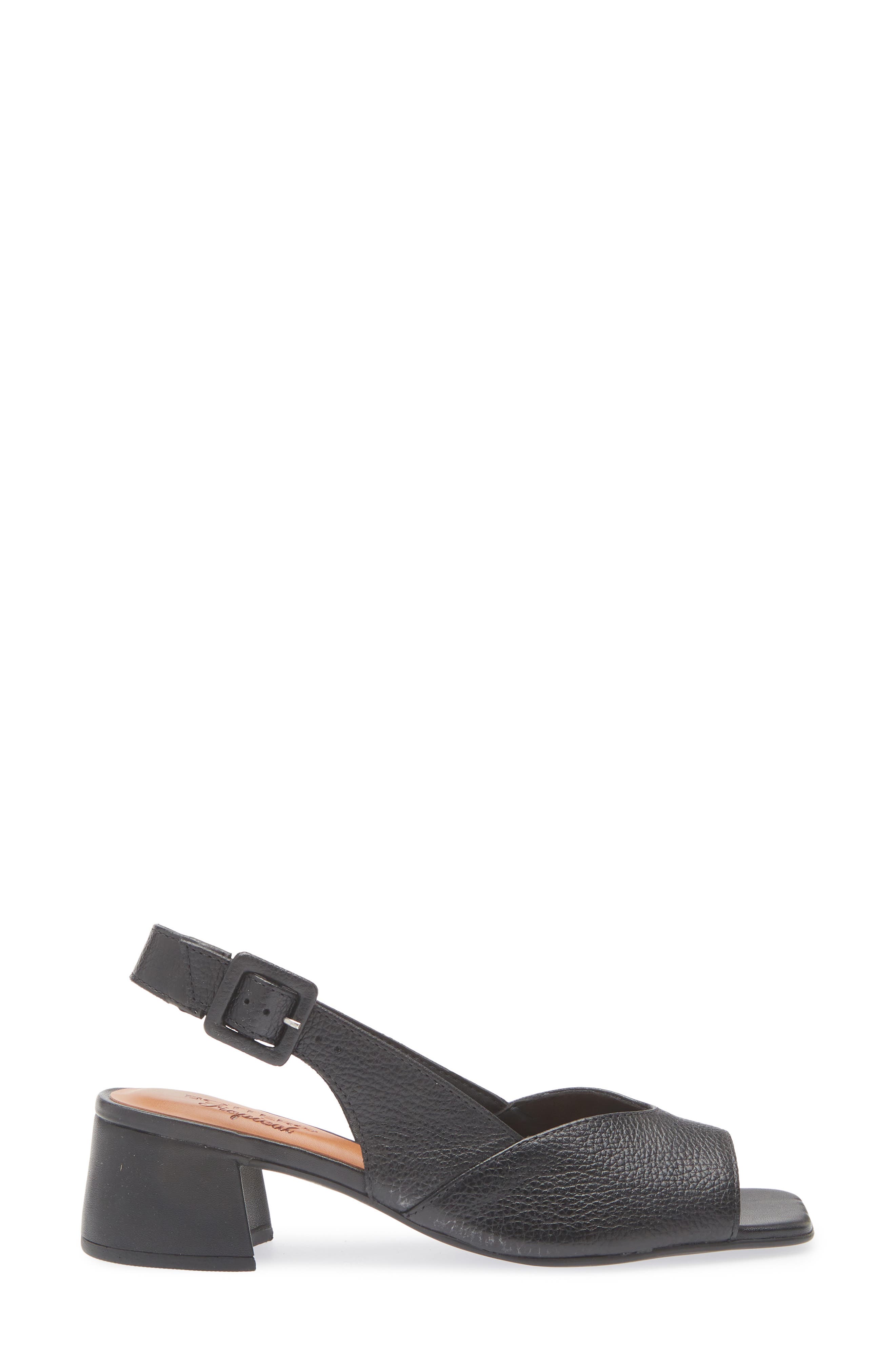 Bottero Catia Slingback Sandal, Alternate, color, Preto