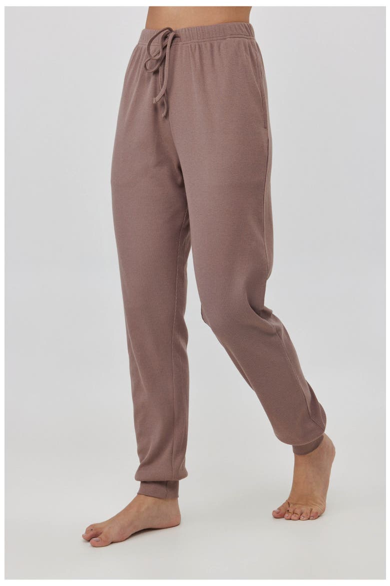 Sandy Days Loungewear Jogger Bottoms, Alternate, color, Coffee