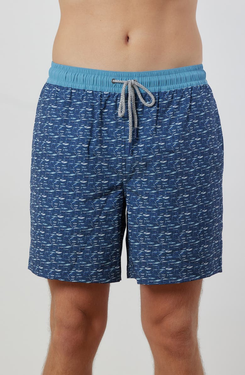 Rainforest Pool Of Fish Swim Trunks, Main, color, 