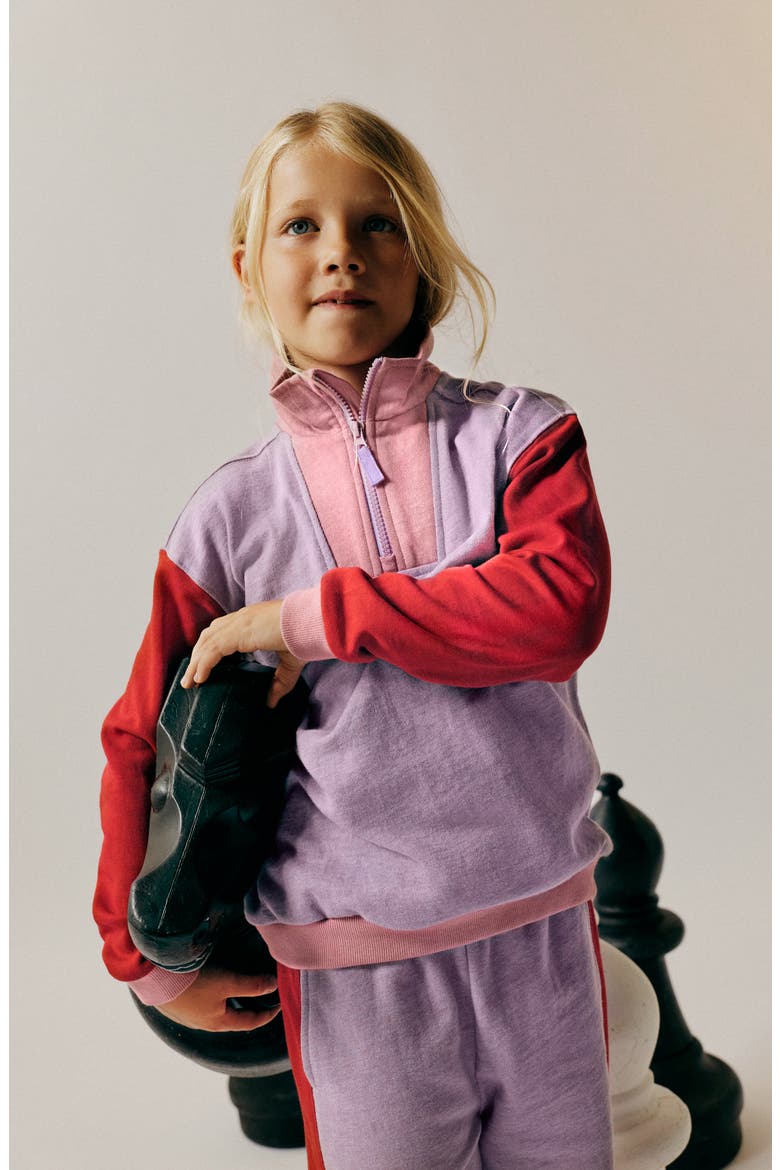 Kids' Colorblock Half Zip Sweatshirt, Alternate, color, PURPLE/ RED