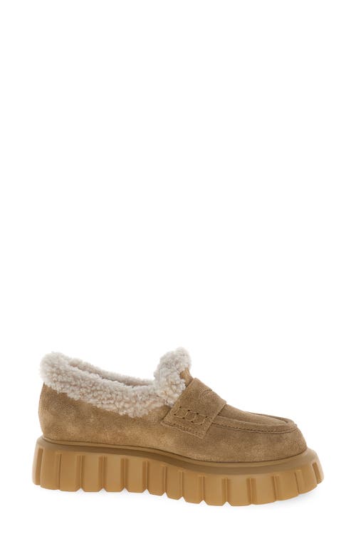 Voile Blanche Grenelle Genuine Shearling Platform Loafer In Brown